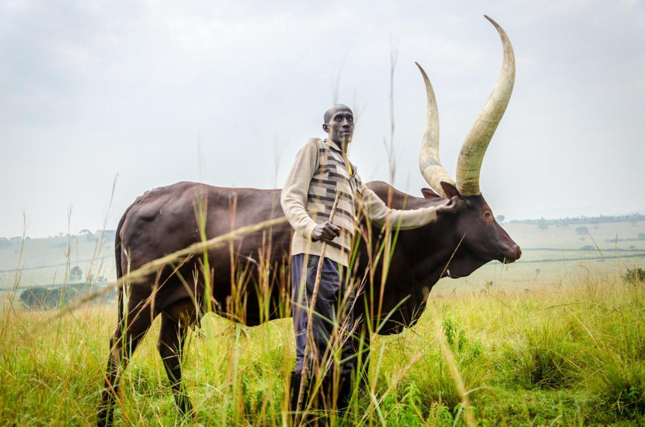 Emburara Farm Lodge Mbarara المظهر الخارجي الصورة